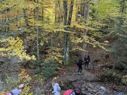 56514697612824036436875811099605432791228520n